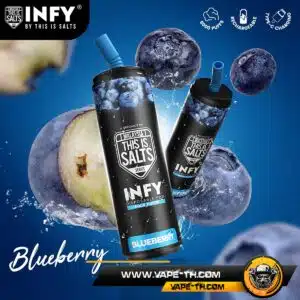 Infy DISPOSABLE 6000 Puffs Blueberry